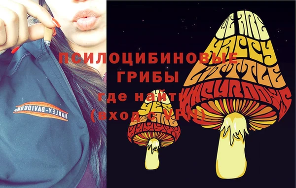 прущая мука Алексеевка