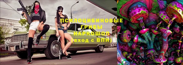 винт Алзамай