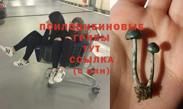 винт Алзамай