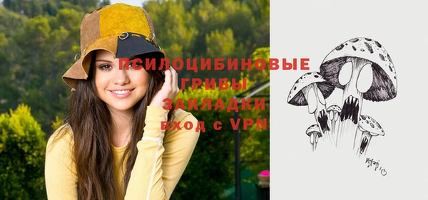 винт Алзамай