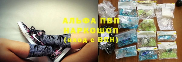 винт Алзамай
