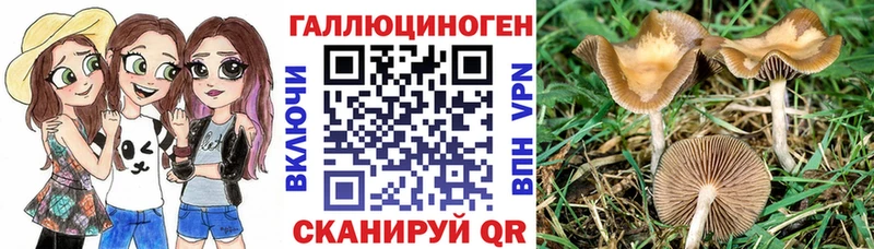 гидра ССЫЛКА  Югорск  Галлюциногенные грибы мицелий 